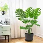 Faux Monstera: A Comprehensive Guide to Artificial Greenery